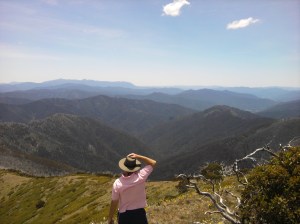 Appreciating the view